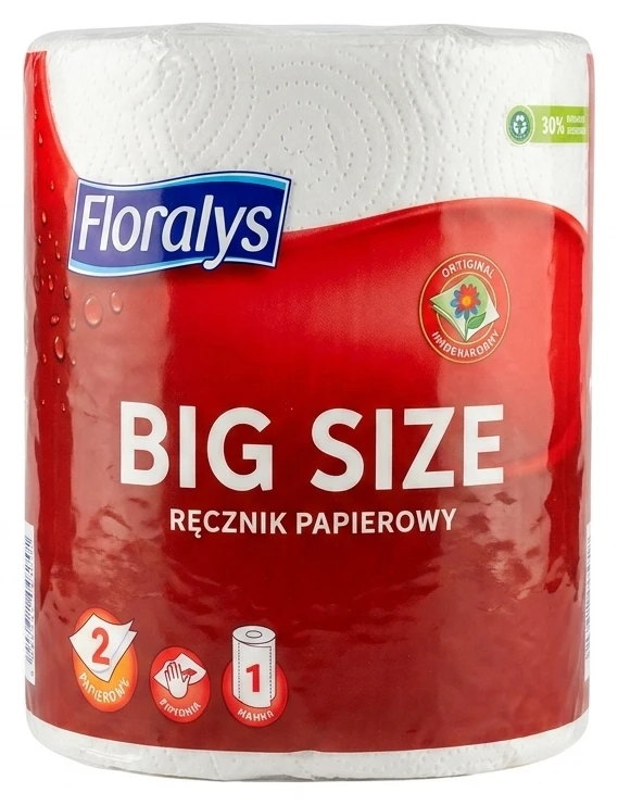 Ręcznik papierowy Floralys Big Size