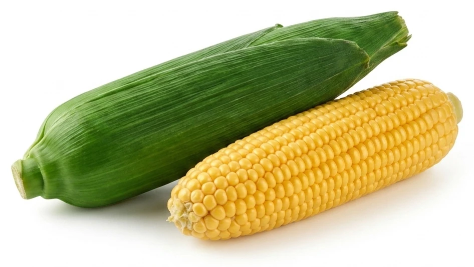 Kukurydza świeża