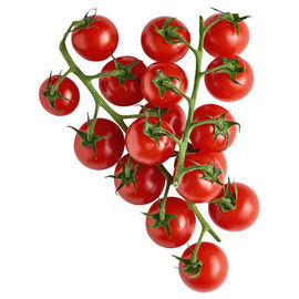 Pomidor cherry gałązka 500 g