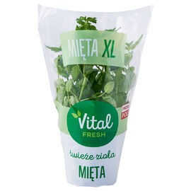Vital Fresh Mięta XL 1 szt.