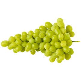 Winogrono jasne