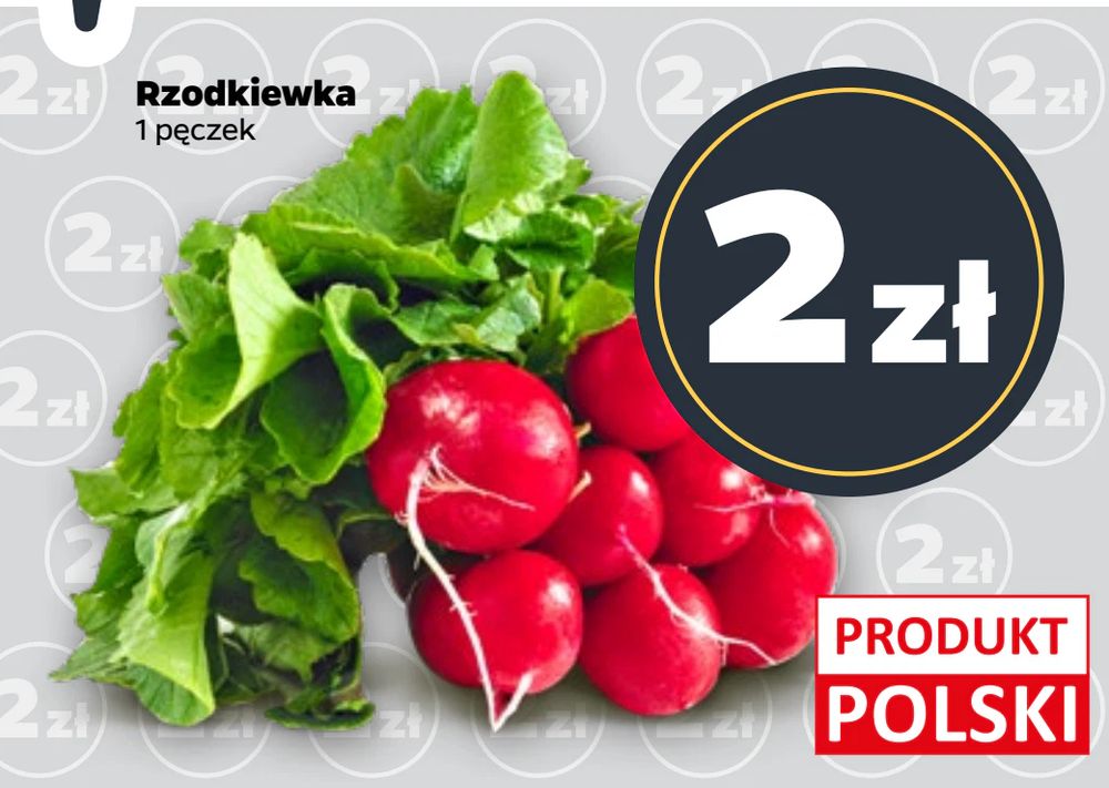 Rzodkiewka
