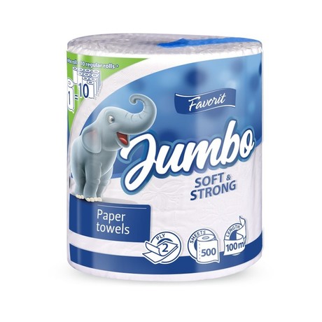 Bloom Ręcznik papierowy 2W 100 m