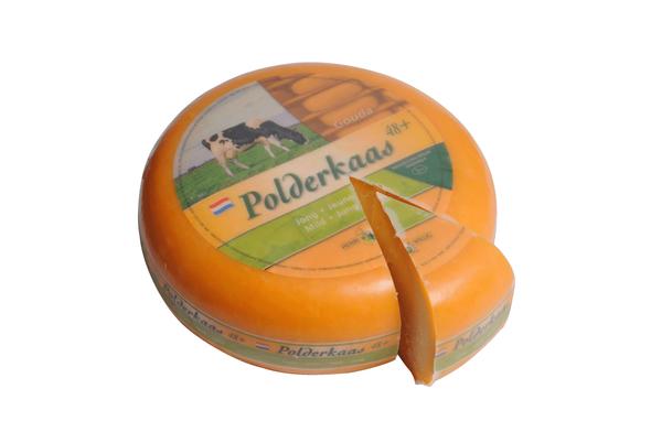 Ser Gouda Holenderska