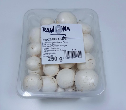 Pieczarki mini 250g