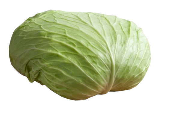 Kapusta na gołąbki (waga 1 szt. to ok. 3,5 kg)