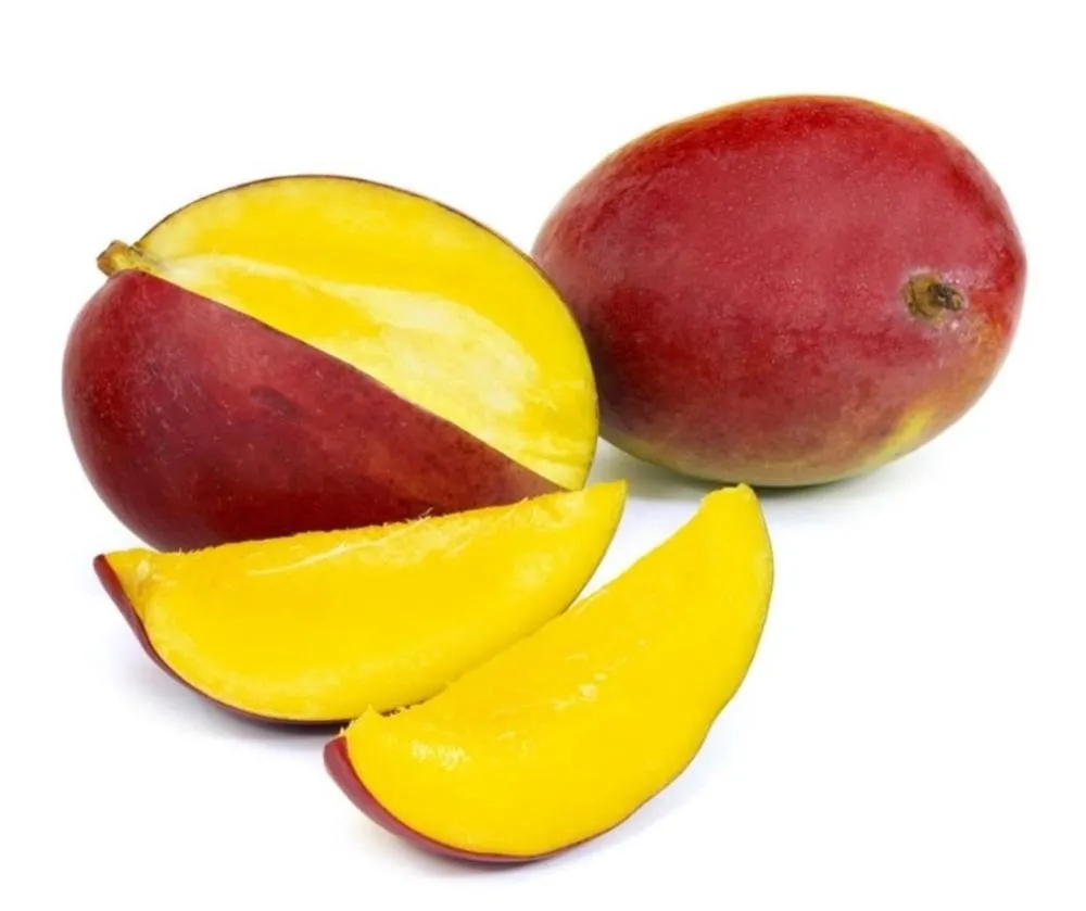 MANGO DUŻY KALIBER SZTUKA