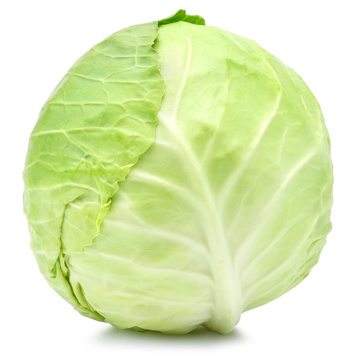Kapusta młoda 1000g