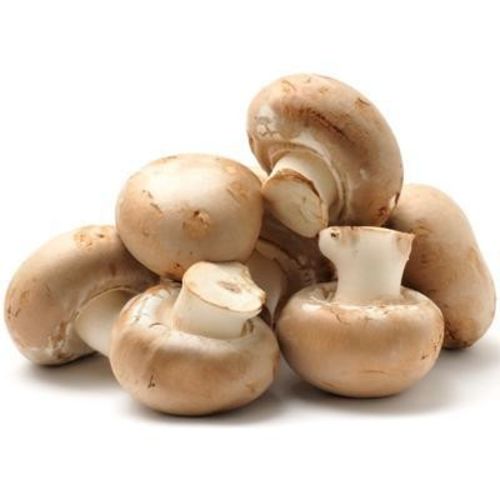 Pieczarki brązowe BIO