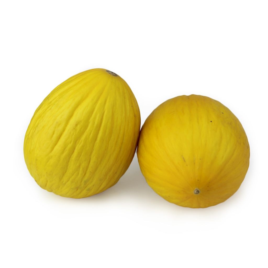 Melon świeży BIO