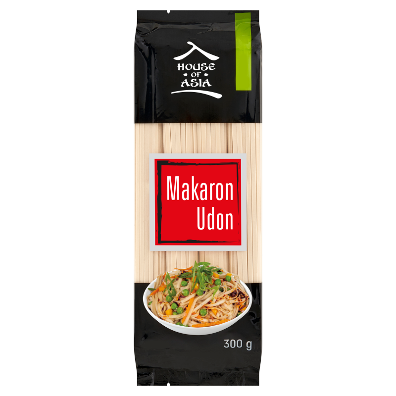 Makaron Udon