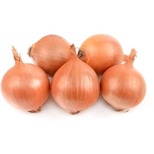 Cebula 6-12 szt.