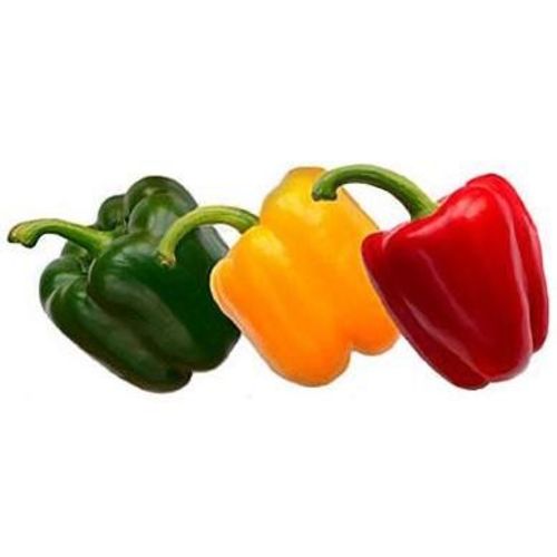 Papryka MIX - tricolor