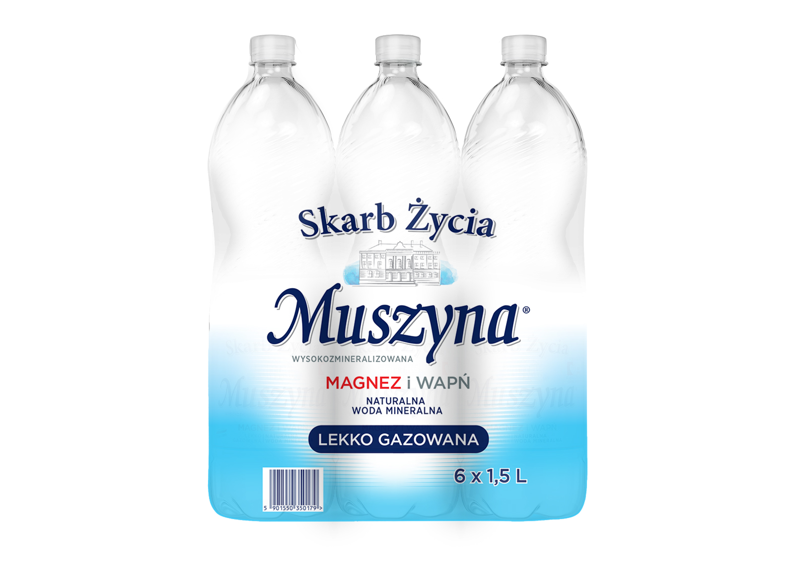 Naturalna woda mineralna wysokozmineralizowana lekko gazowana