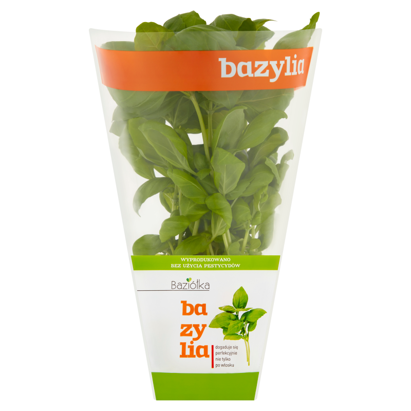 Bazylia
