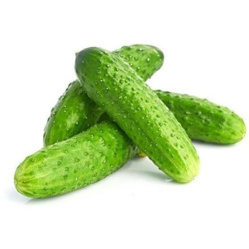 Ogórki gruntowe BIO