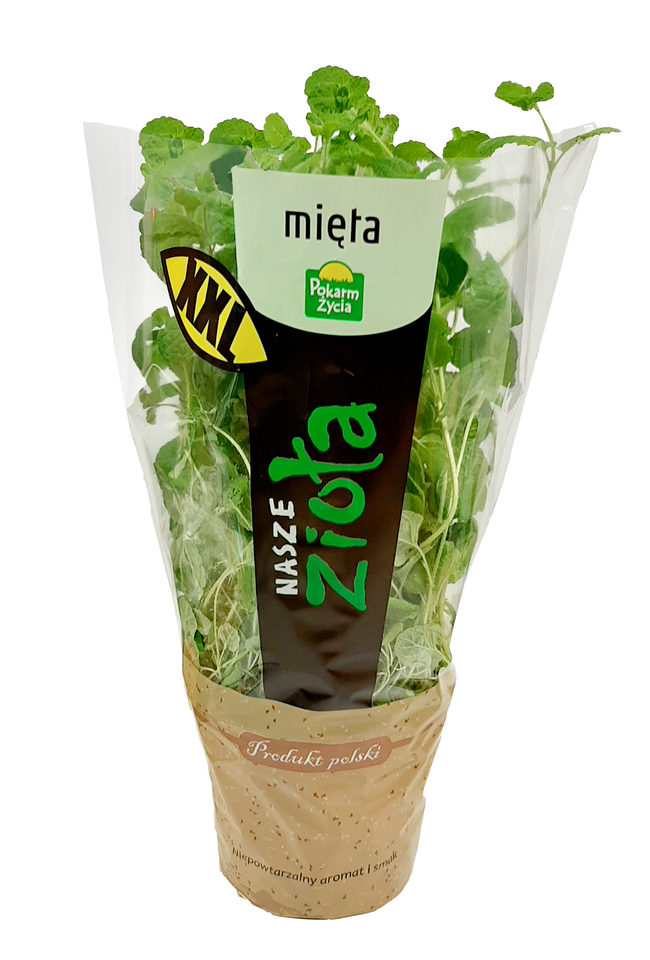 Zioła Mięta XXL