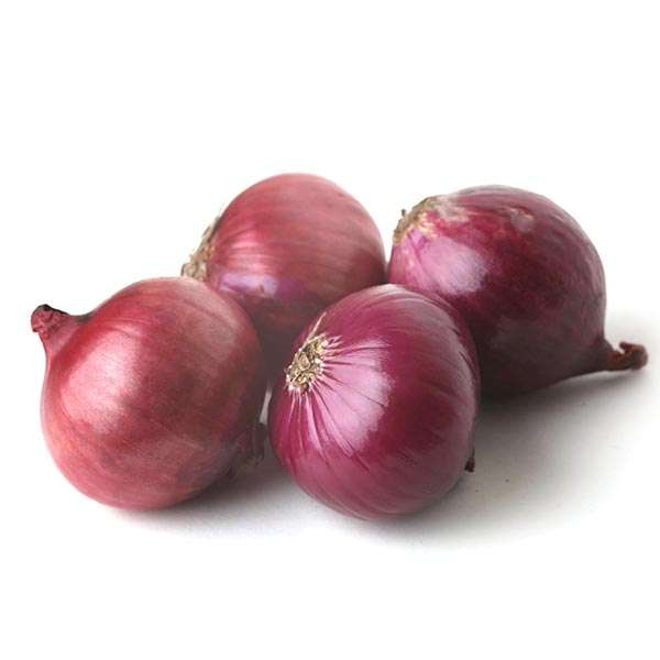 Cebula czerwona BIO