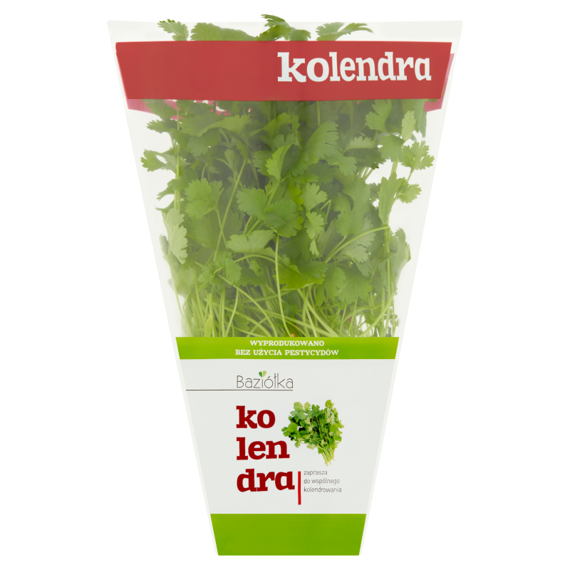 Kolendra