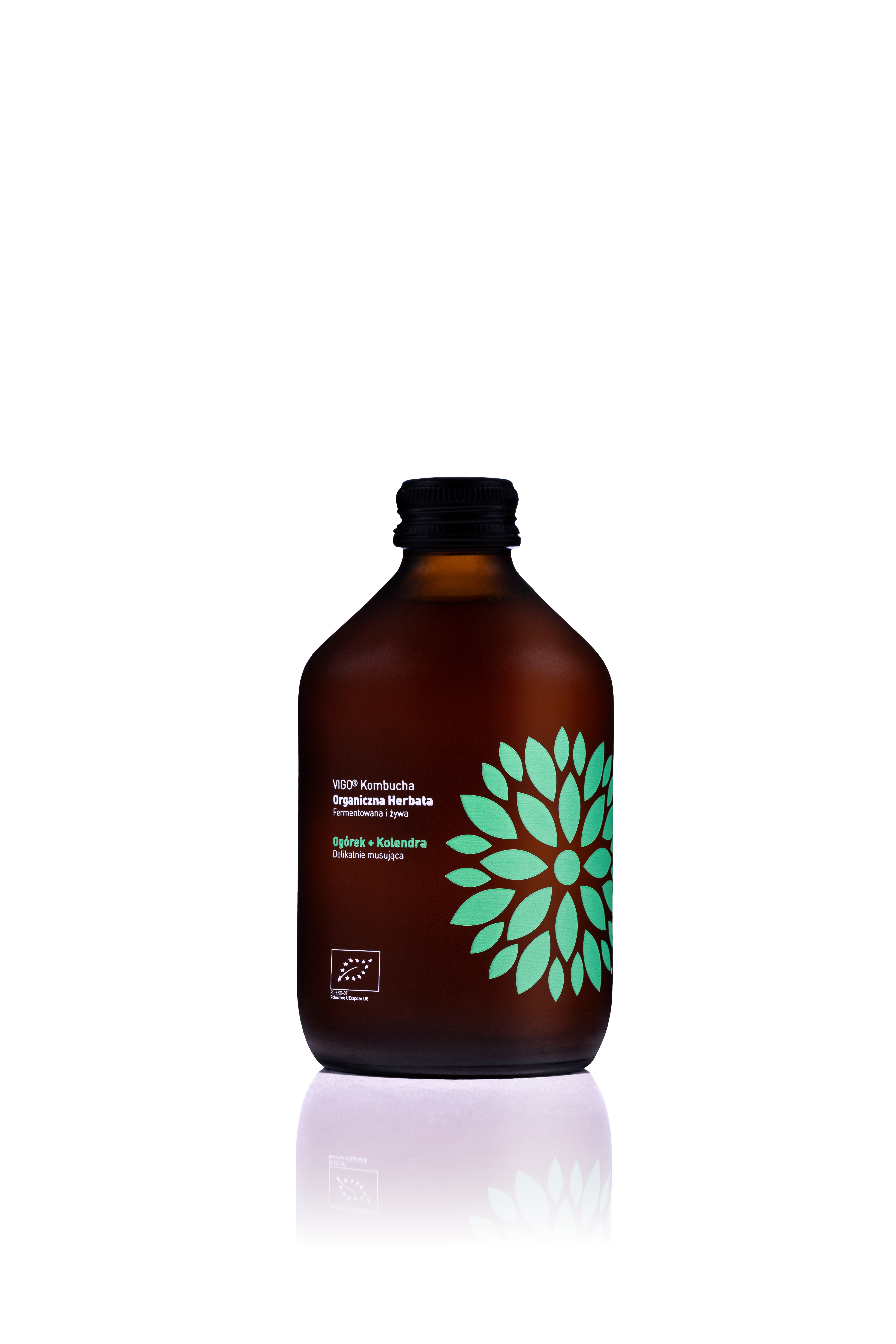 Kombucha z ogórkiem i kolendrą BIO