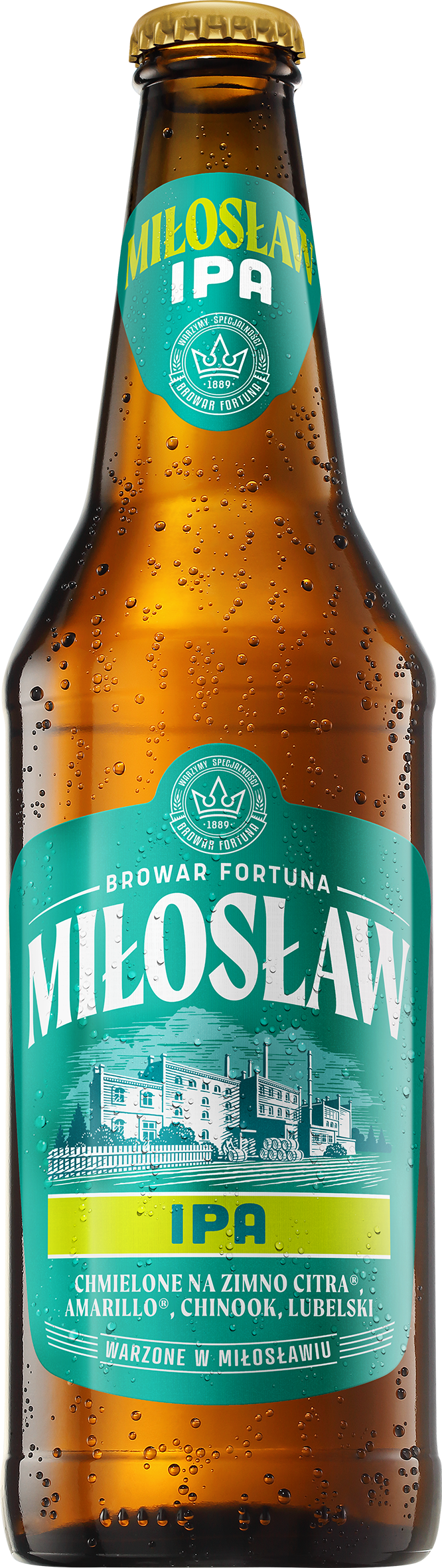 IPA Piwo (butelka bezzwrotna)