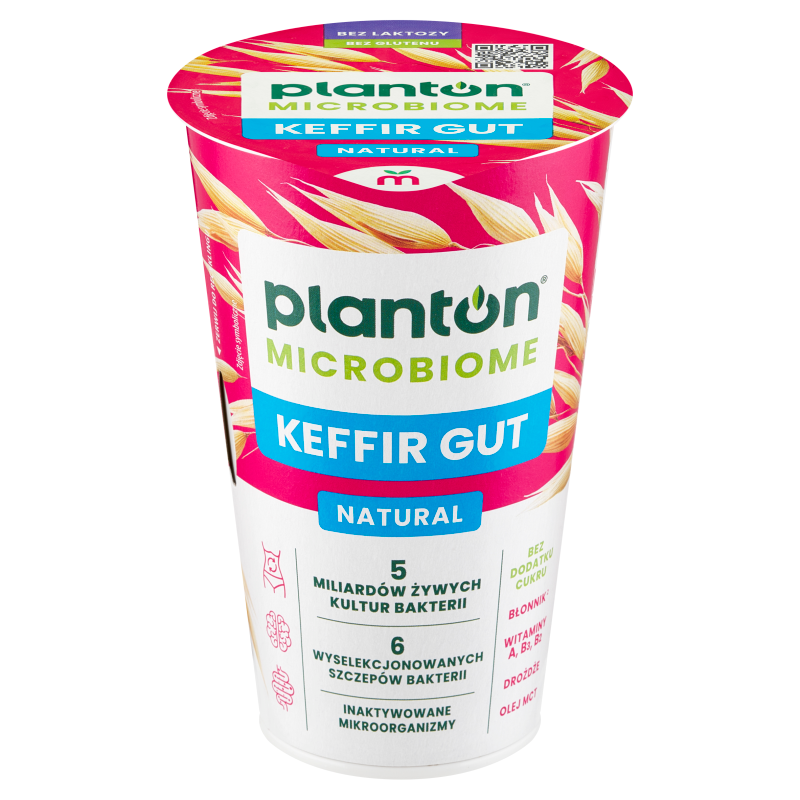 Keffir Gut - Wegański kefir