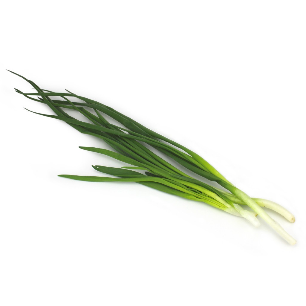 Cebula dymka BIO