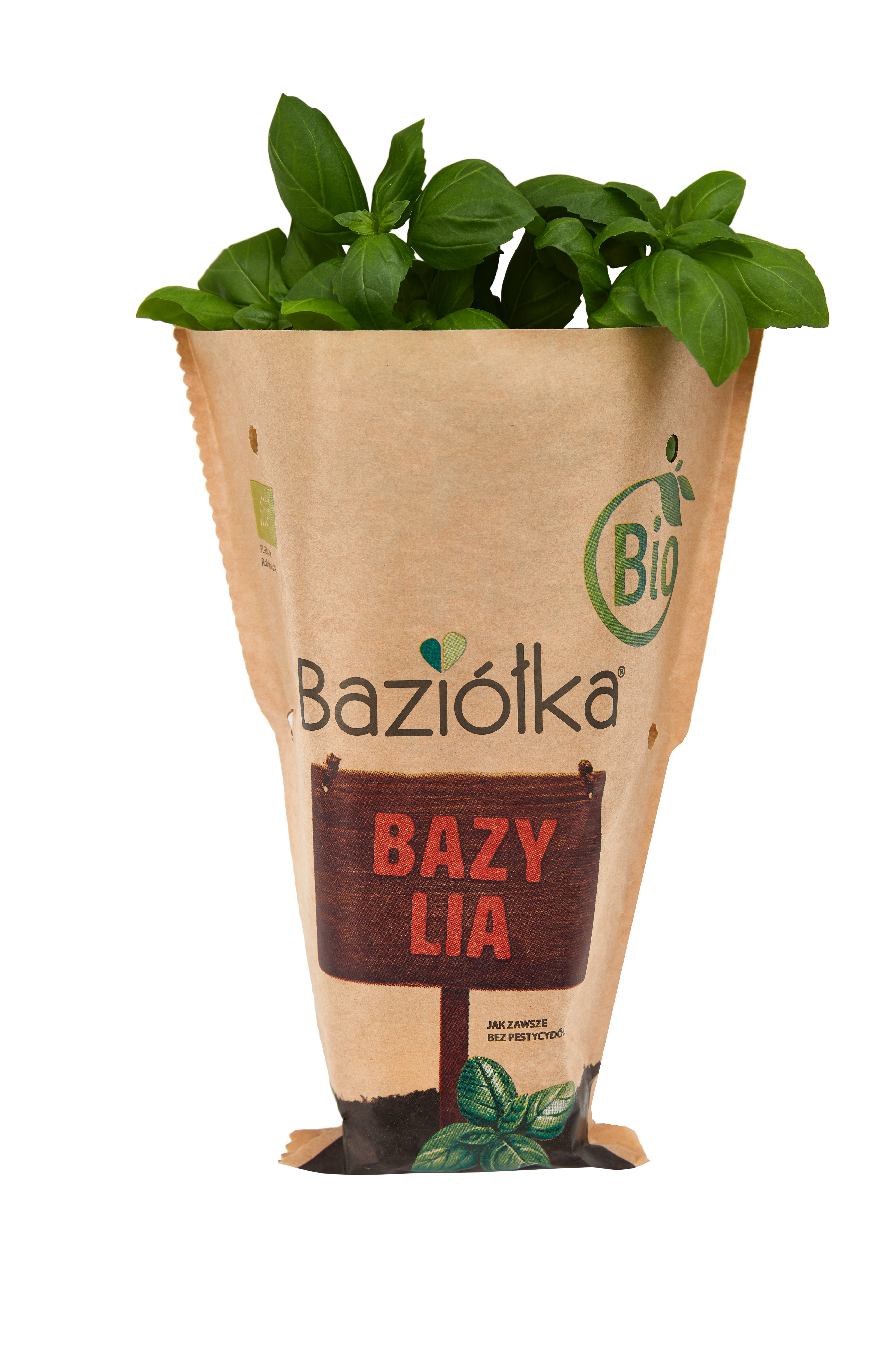 Bazylia BIO