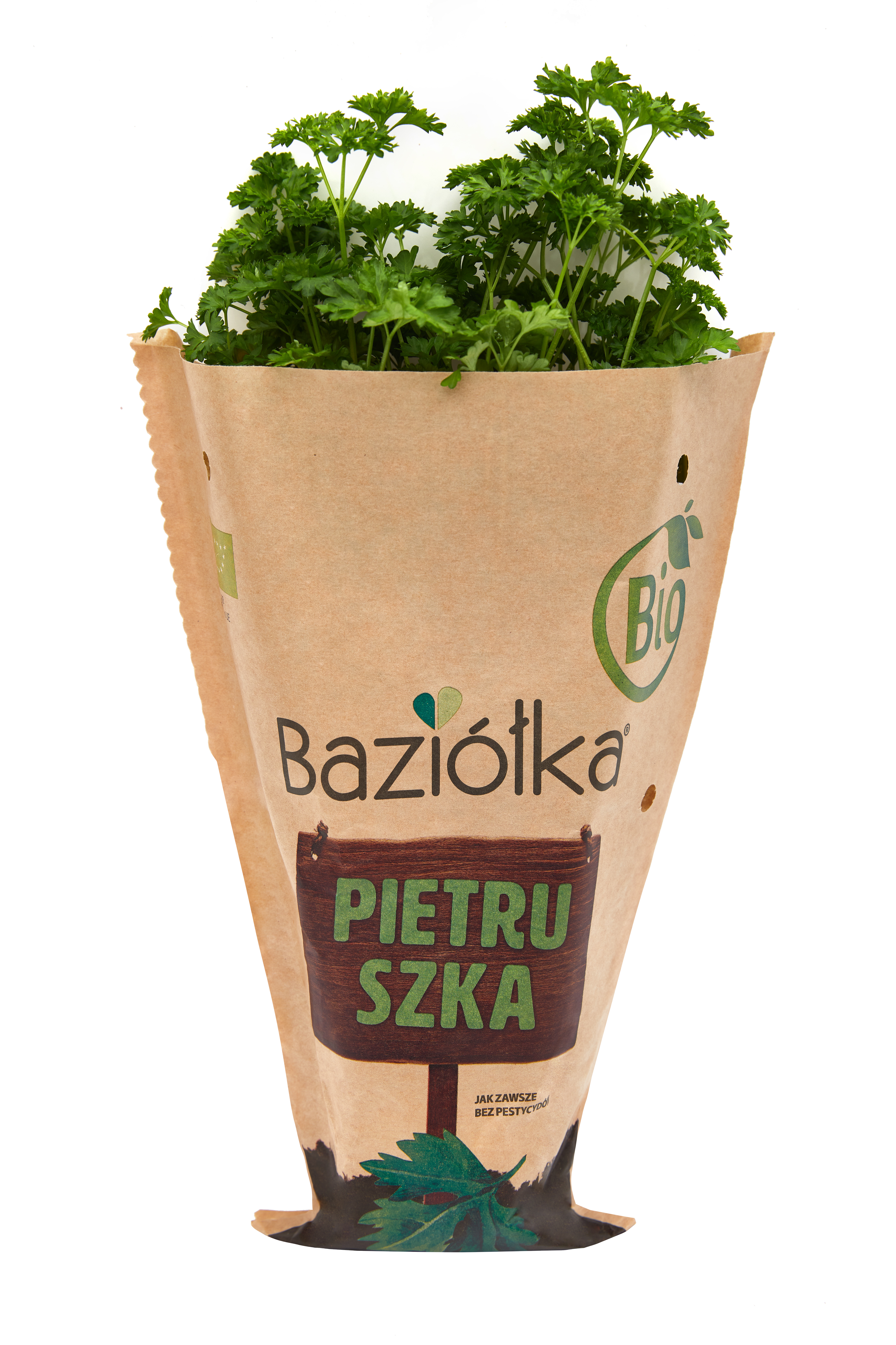 Pietruszka BIO