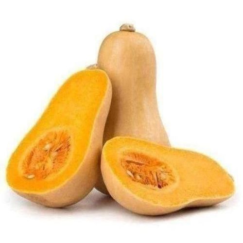 Dynia Piżmowa