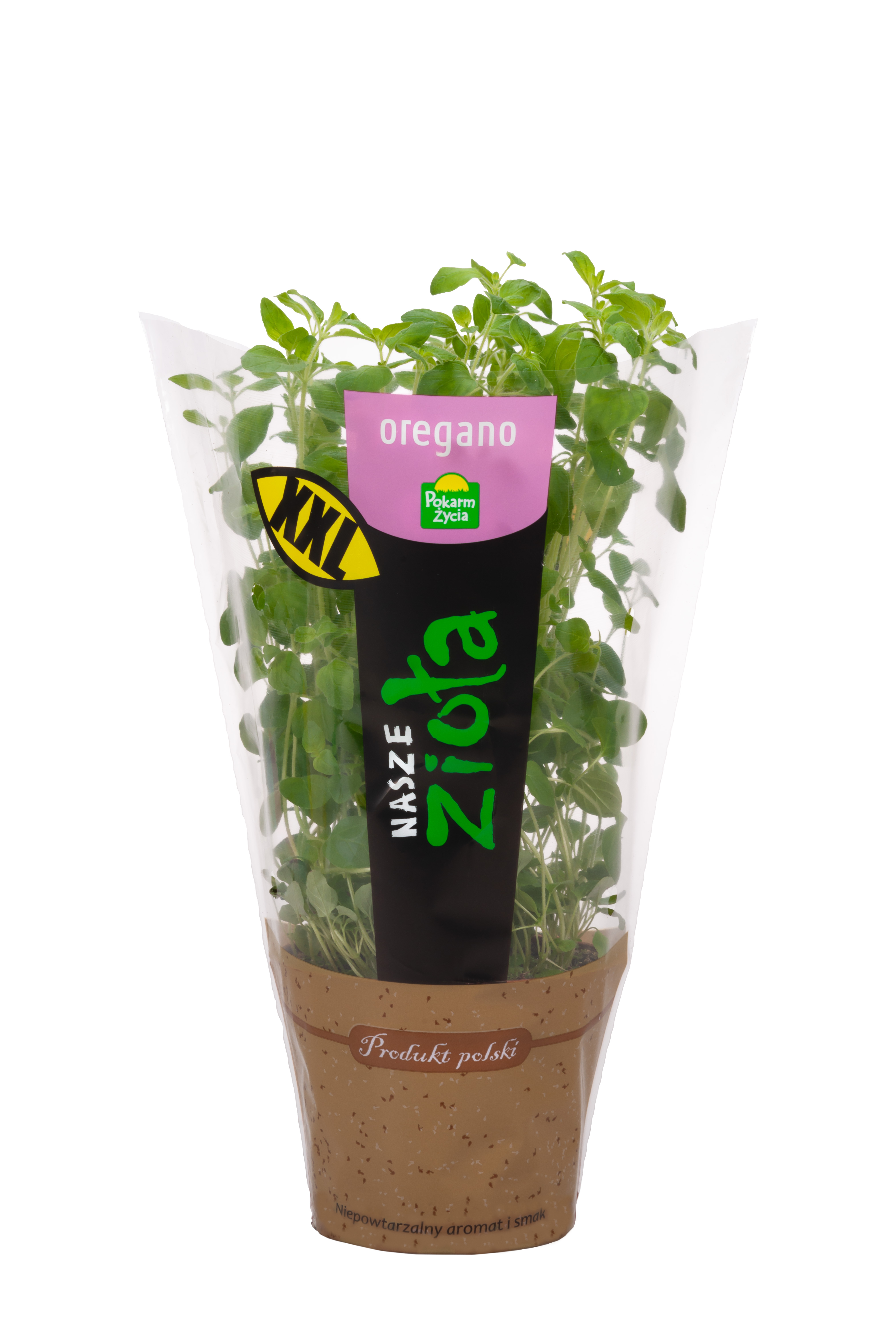Oregano XL