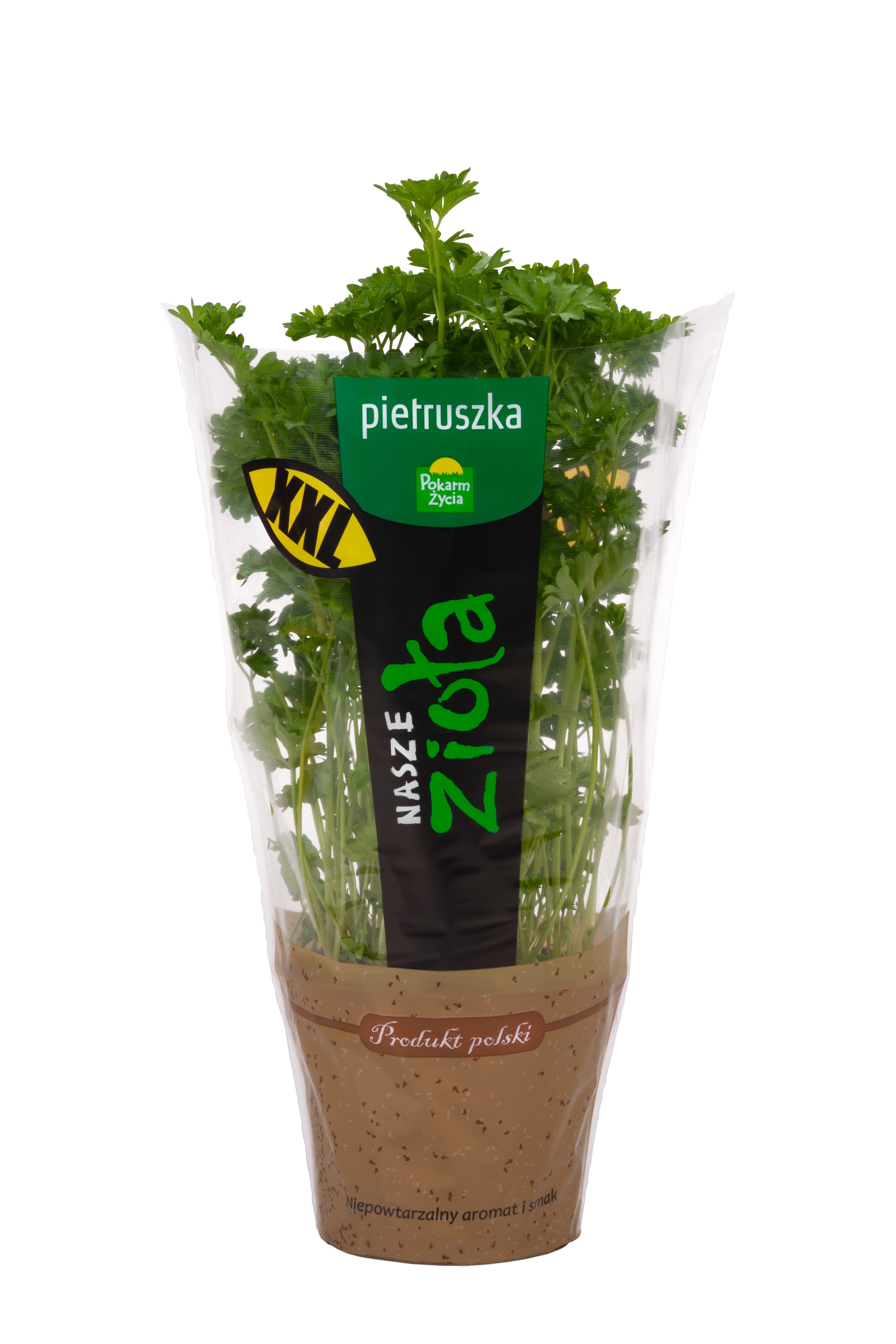 Pietruszka XL