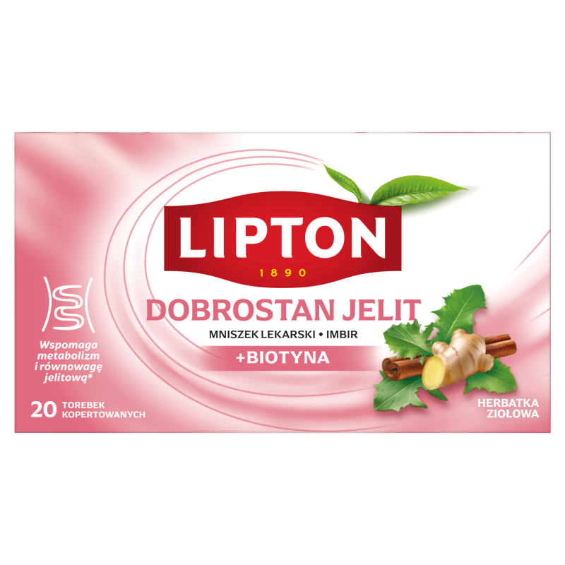 Herbatka ziołowa DOBROSTAN JELIT 20 torebek (w kopertach)