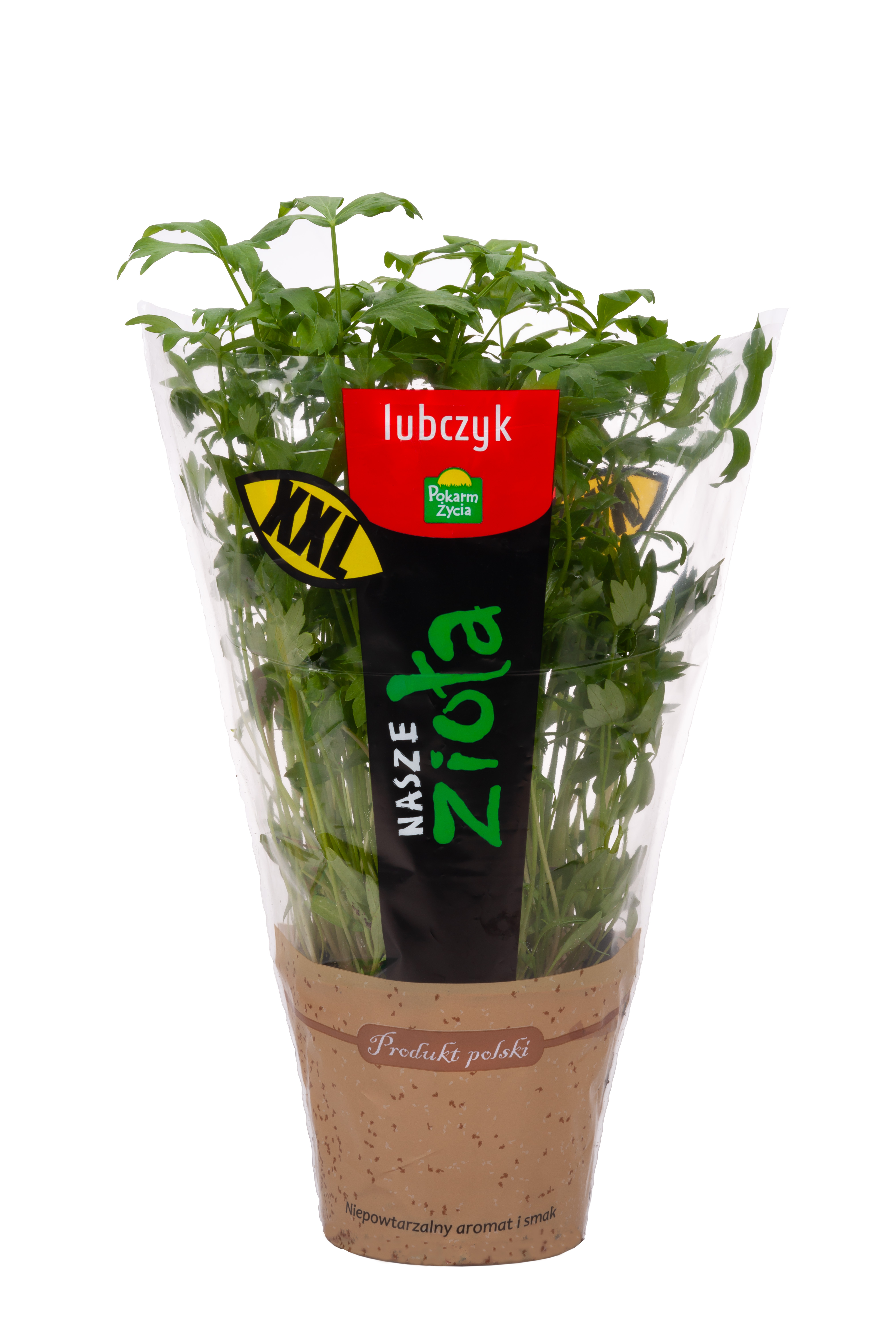 Lubczyk XL