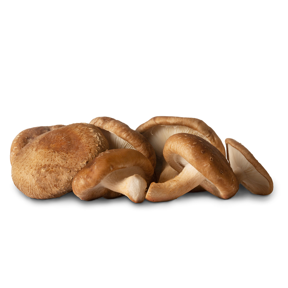 Grzyby shitake