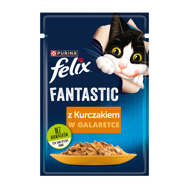 Karma dla kotów kurczak w galaretce