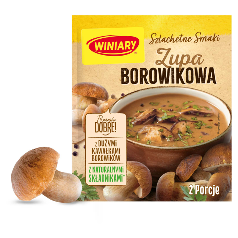 Zupa borowikowa