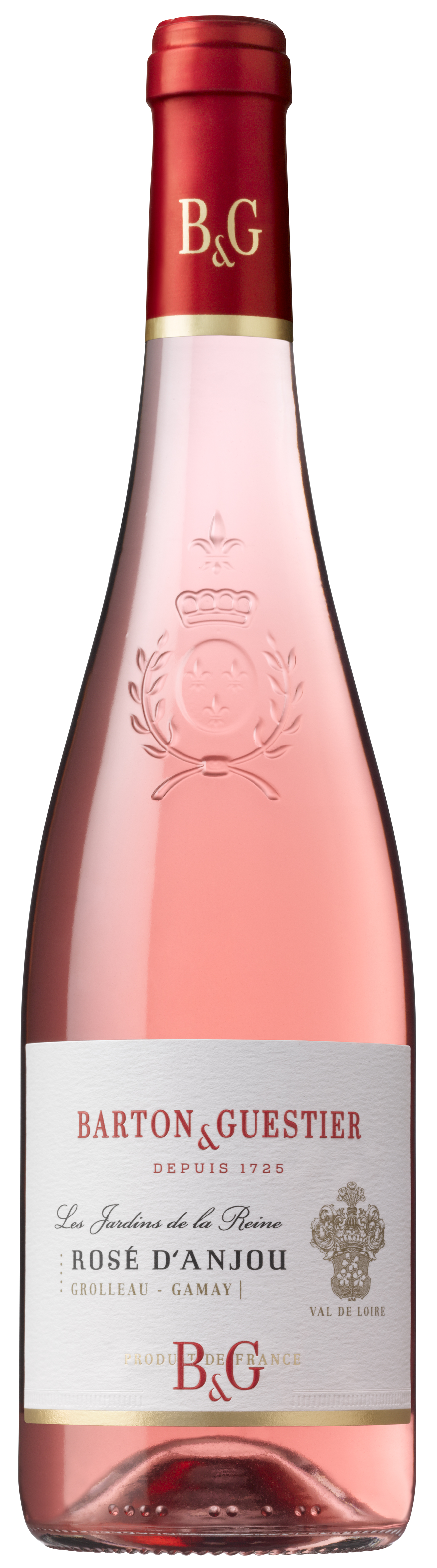 Rose D'Anjou