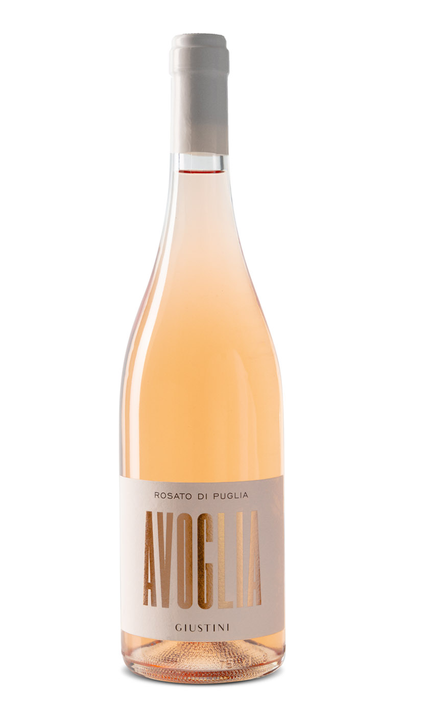 Avoglia Rose