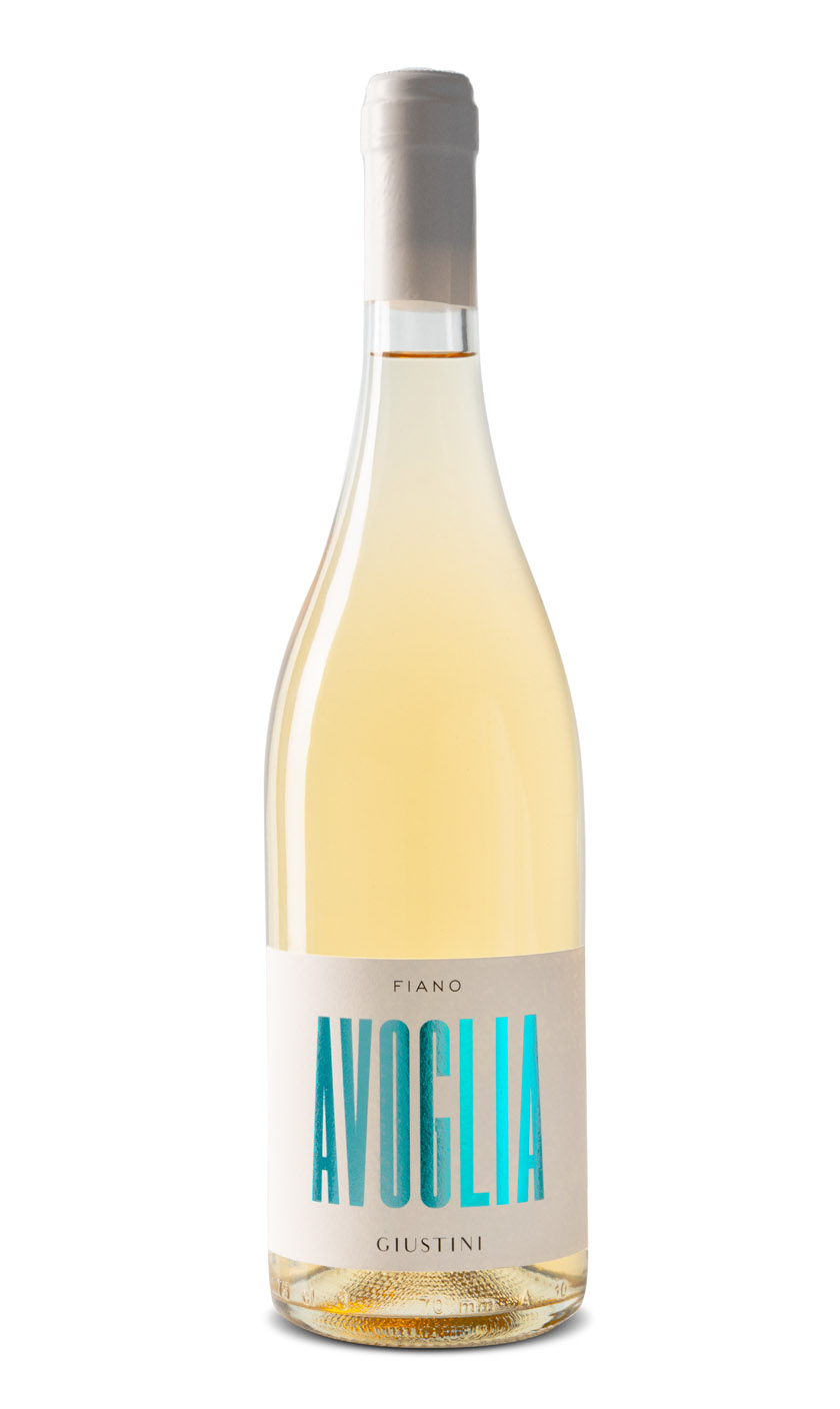 Avoglia Fiano