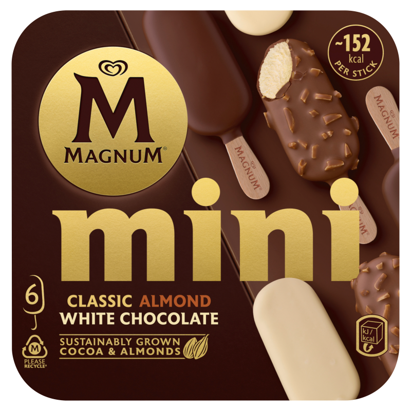 Lody mix 6szt