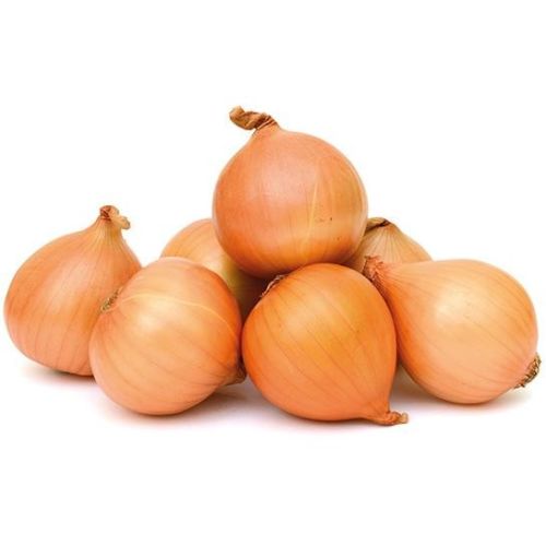 Cebula BIO