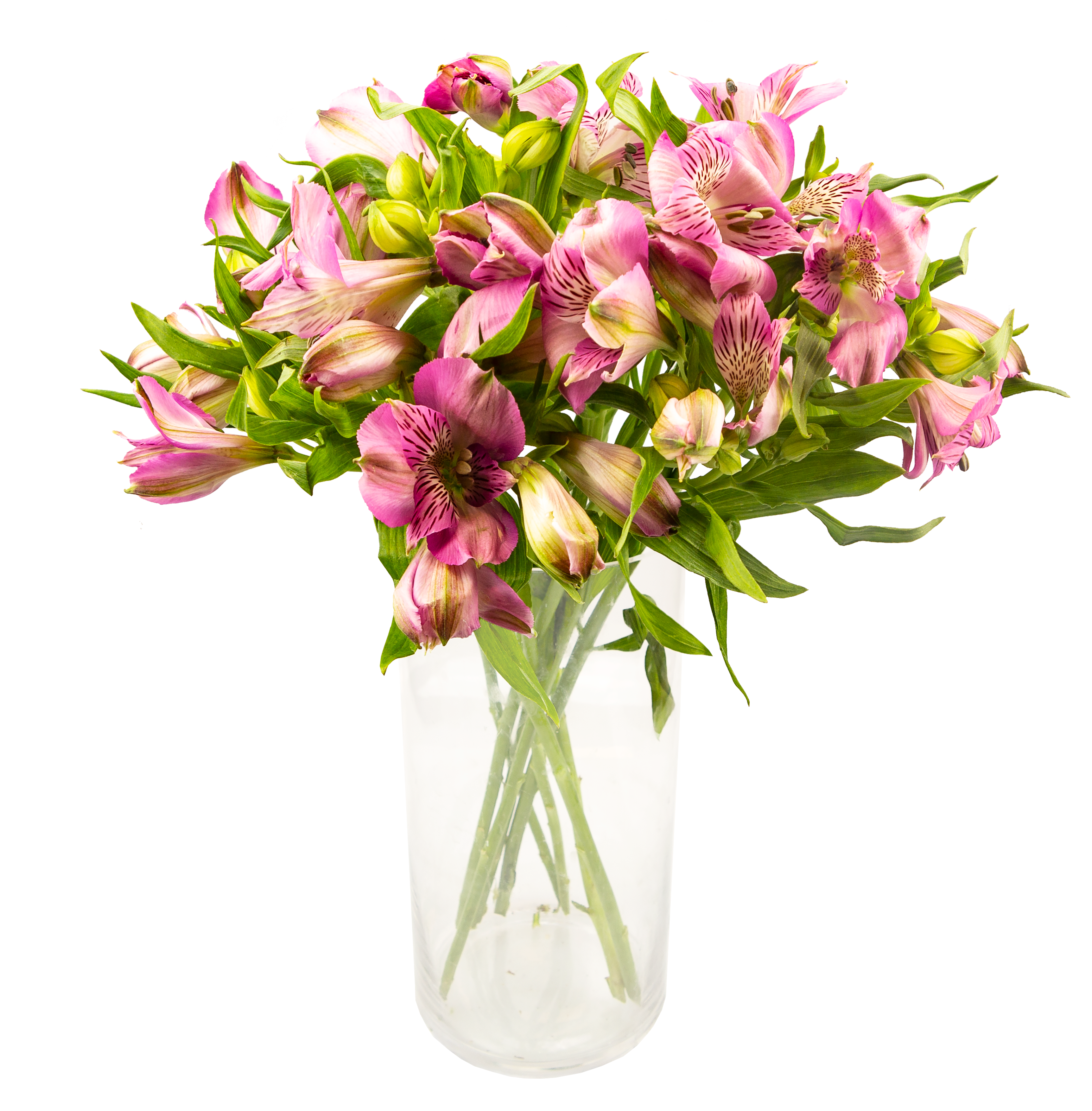 Alstromeria Różowa kwiatki x 8
