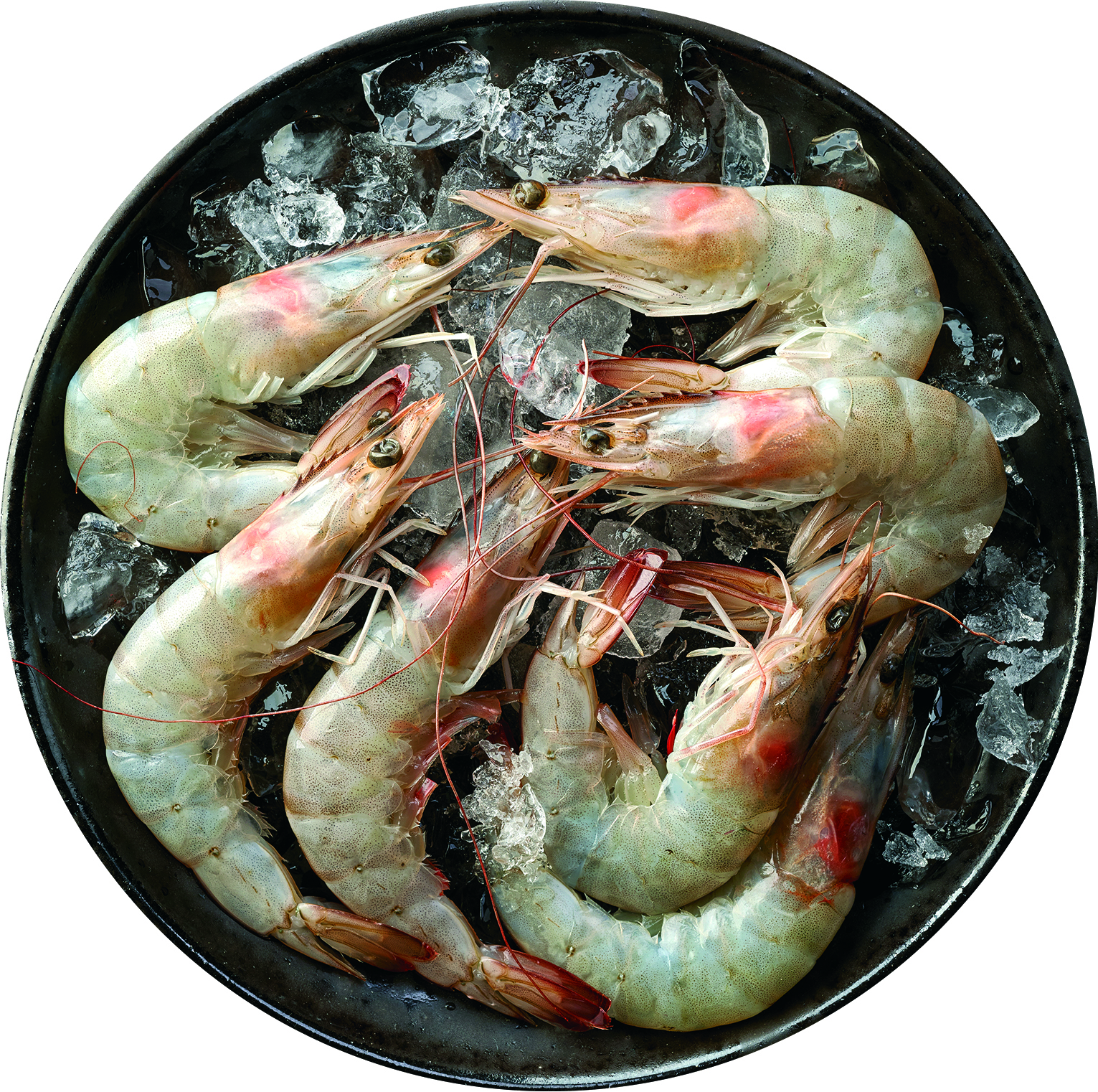 Krewetki Białe Surowe Całe 30-40Szt/Kg