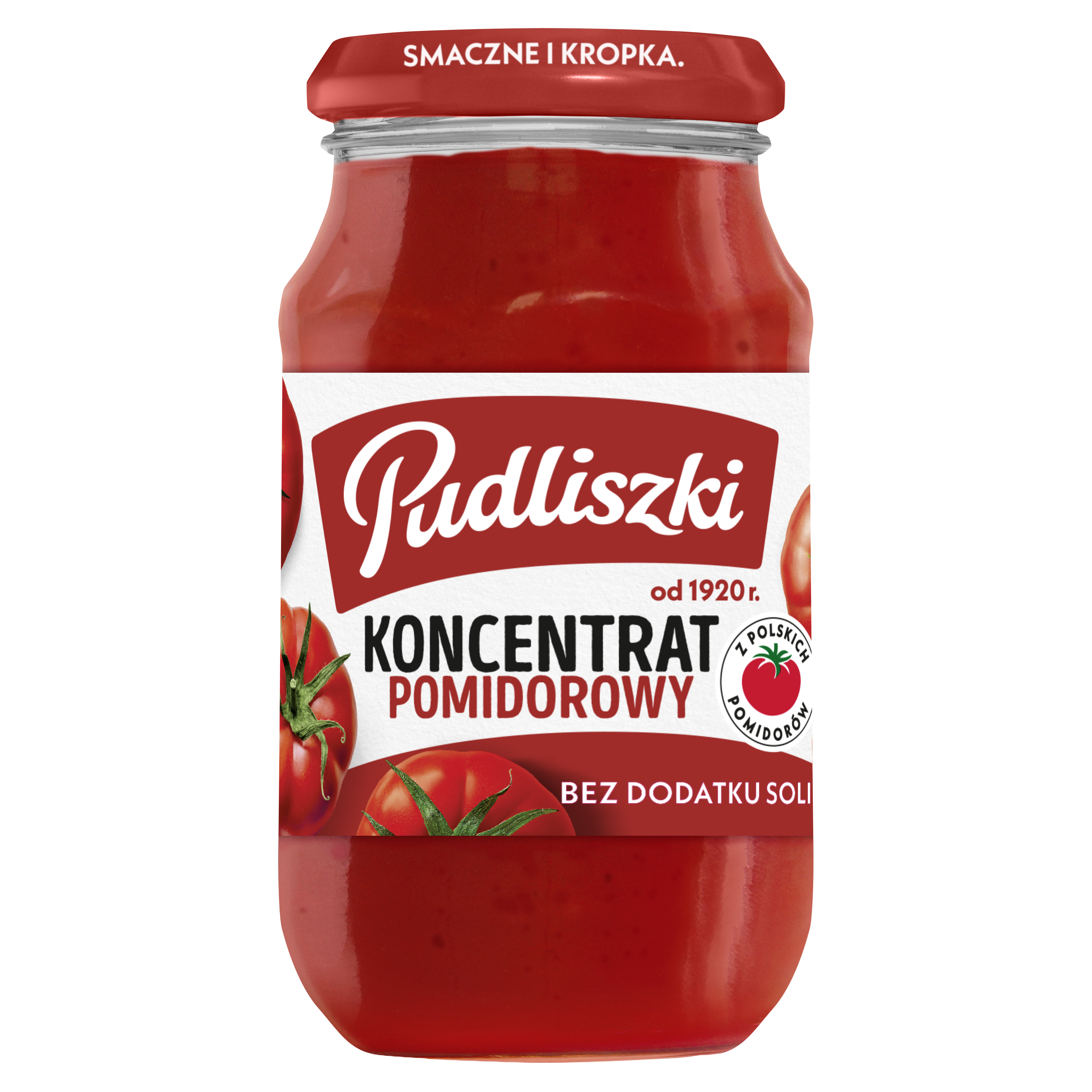 Pudliszki Koncentrat Pomidorowy 310G