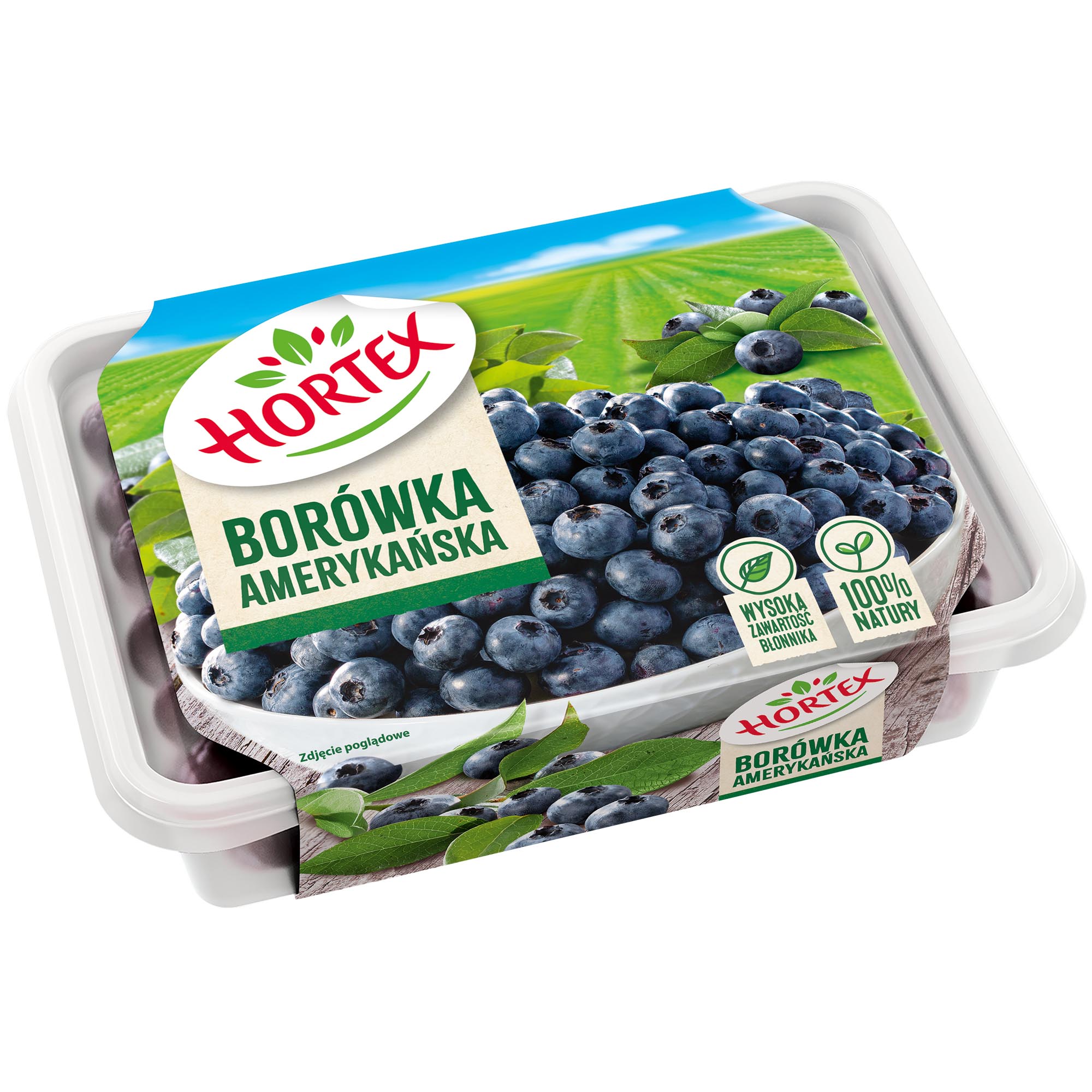 Hortex Borówka Amerykańska 280G