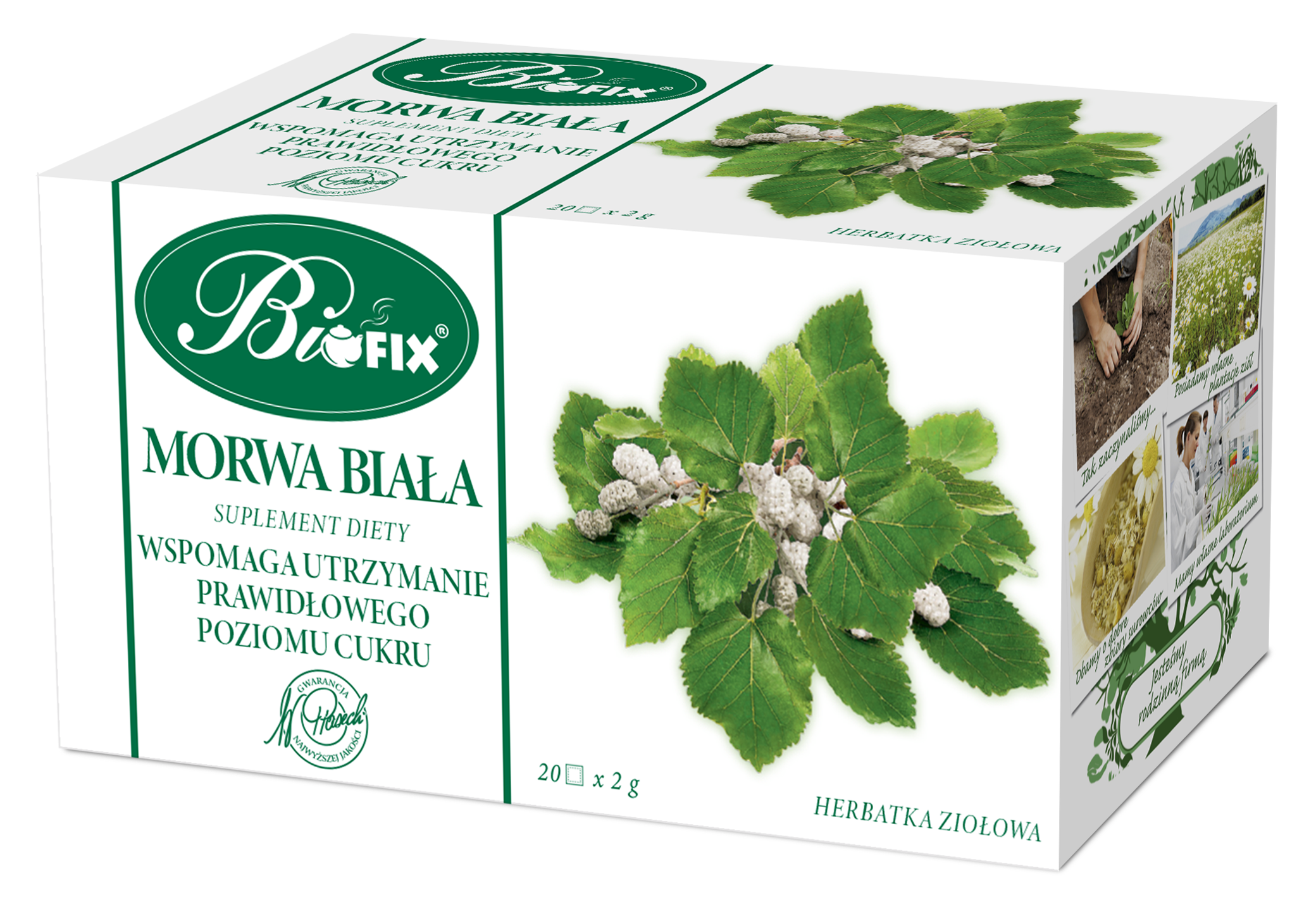 Bifix Morwa Biała Suplement Diety Herbatka Ziołowa Ekspresowa 20X2G