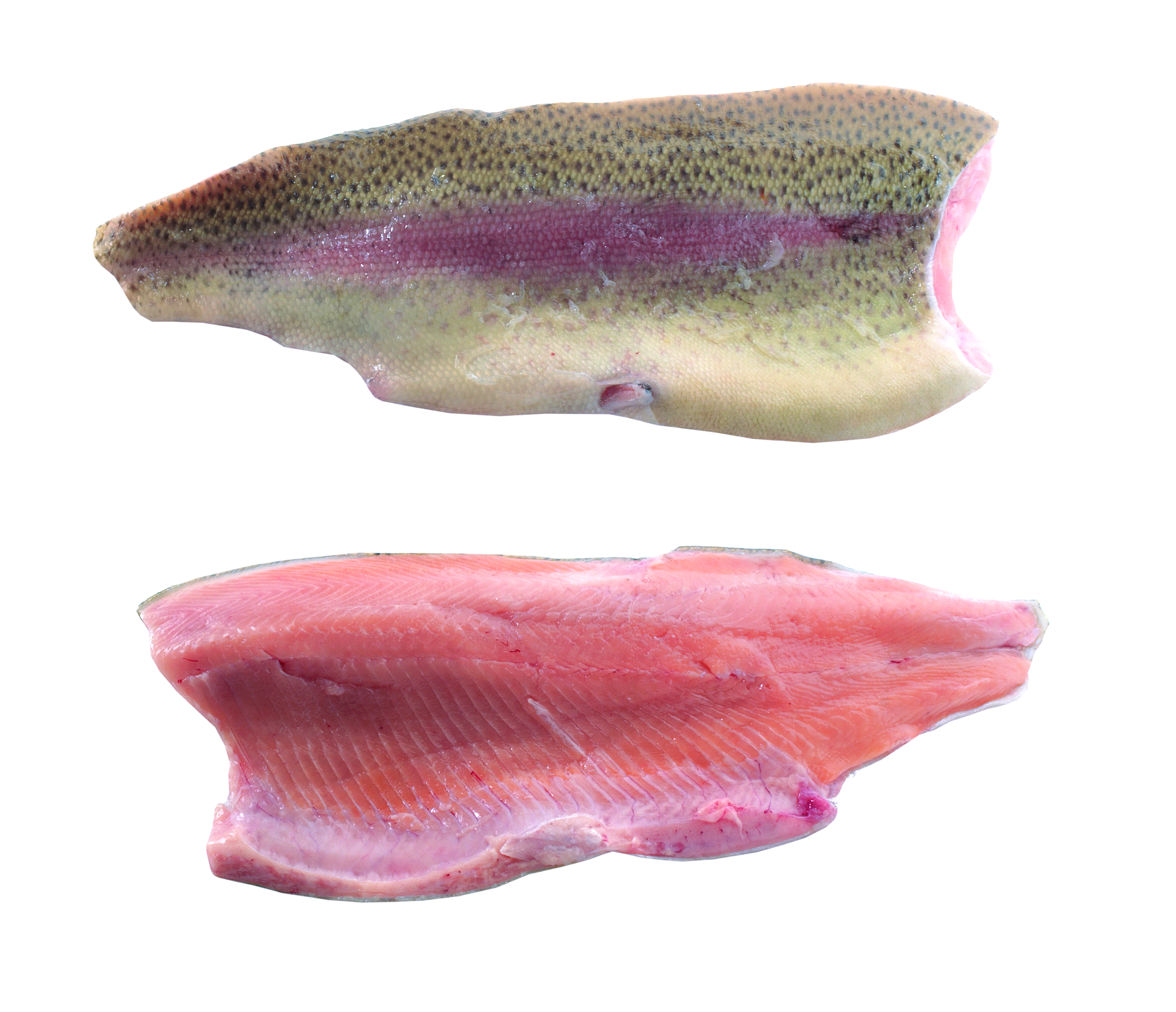 Pstrąg Łososiowy Filet Ze Skórą Ok. 300-400G