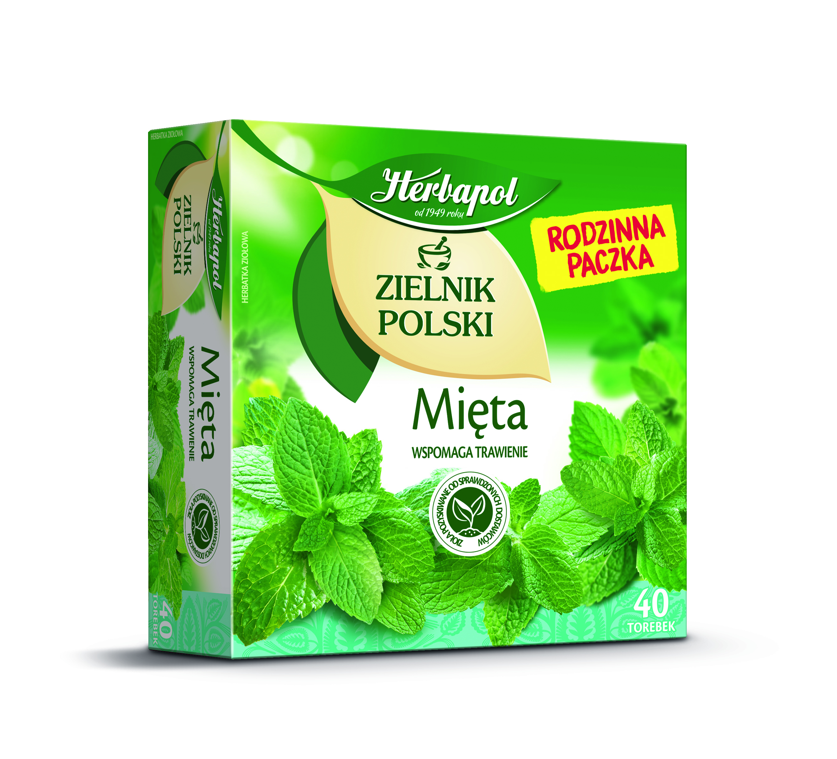 Zielnik Polski Mięta 40Tb X 2G