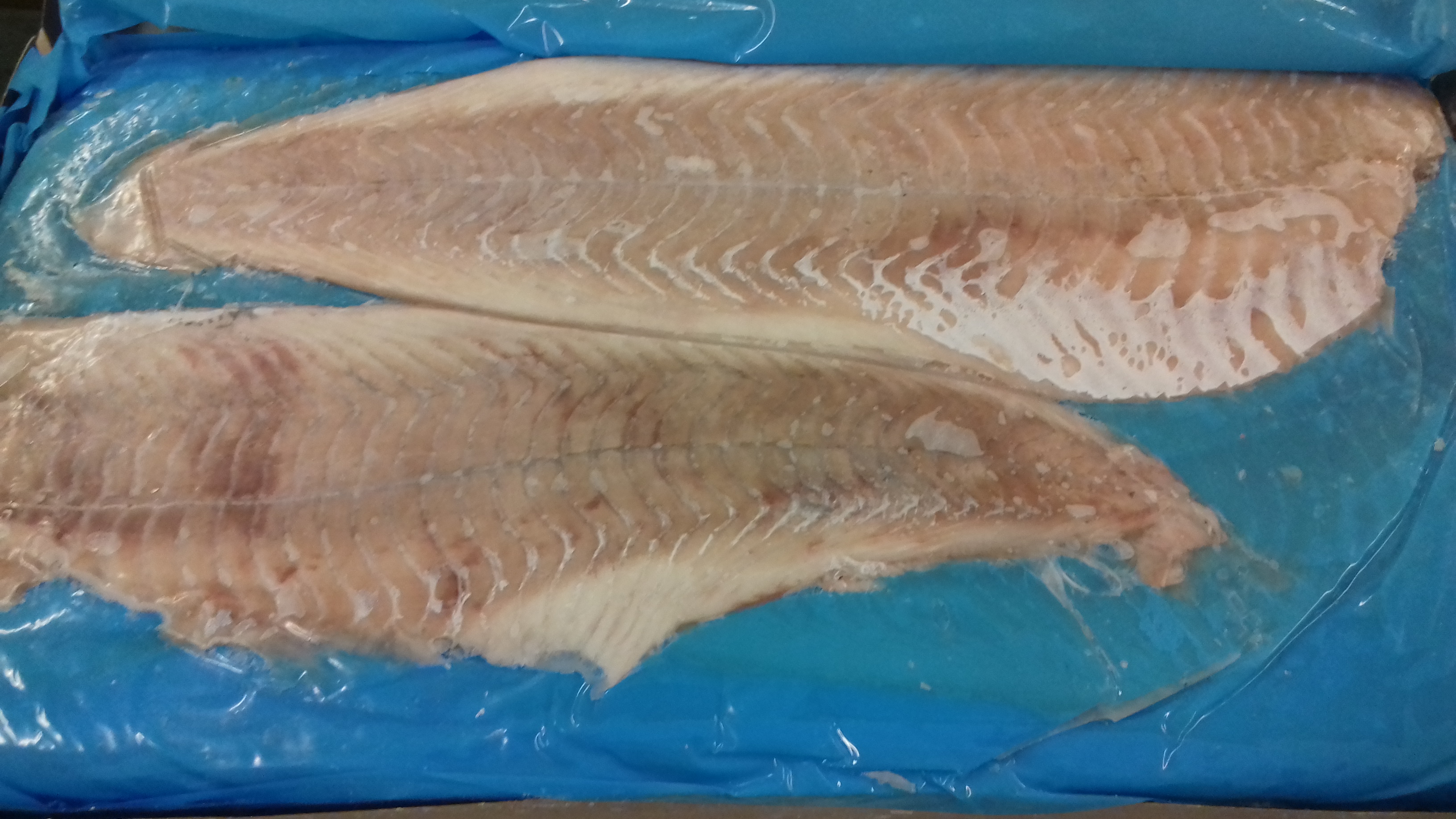 Dorsz Czarny (Czarniak) Filet B/S Shp (Pollachius Virens) , Masa Netto: 6,804 Kg Family Fish